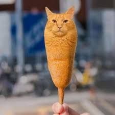corncatdog