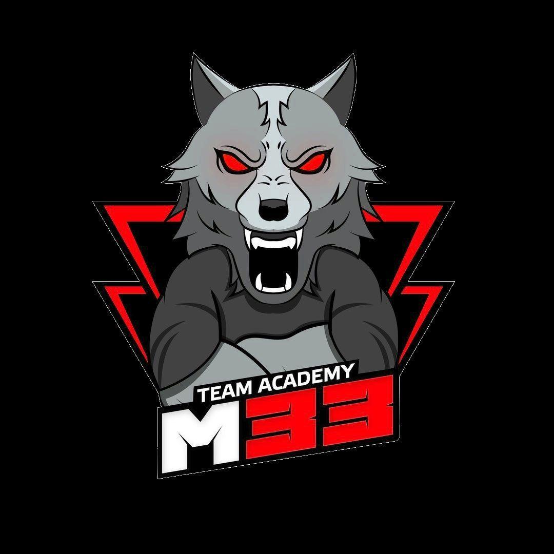 M33Ac x PulsePC
