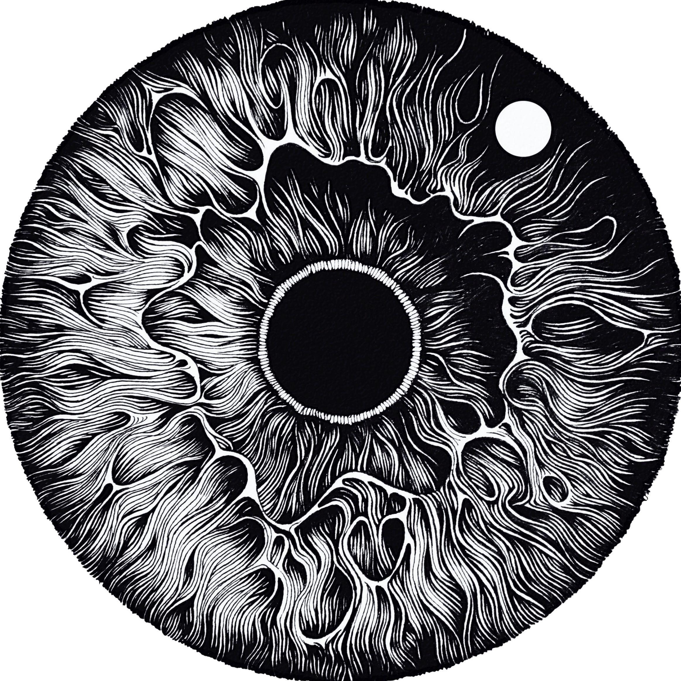 SageLDR avatar