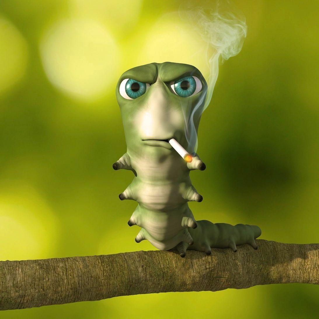 Barsikoff1st avatar