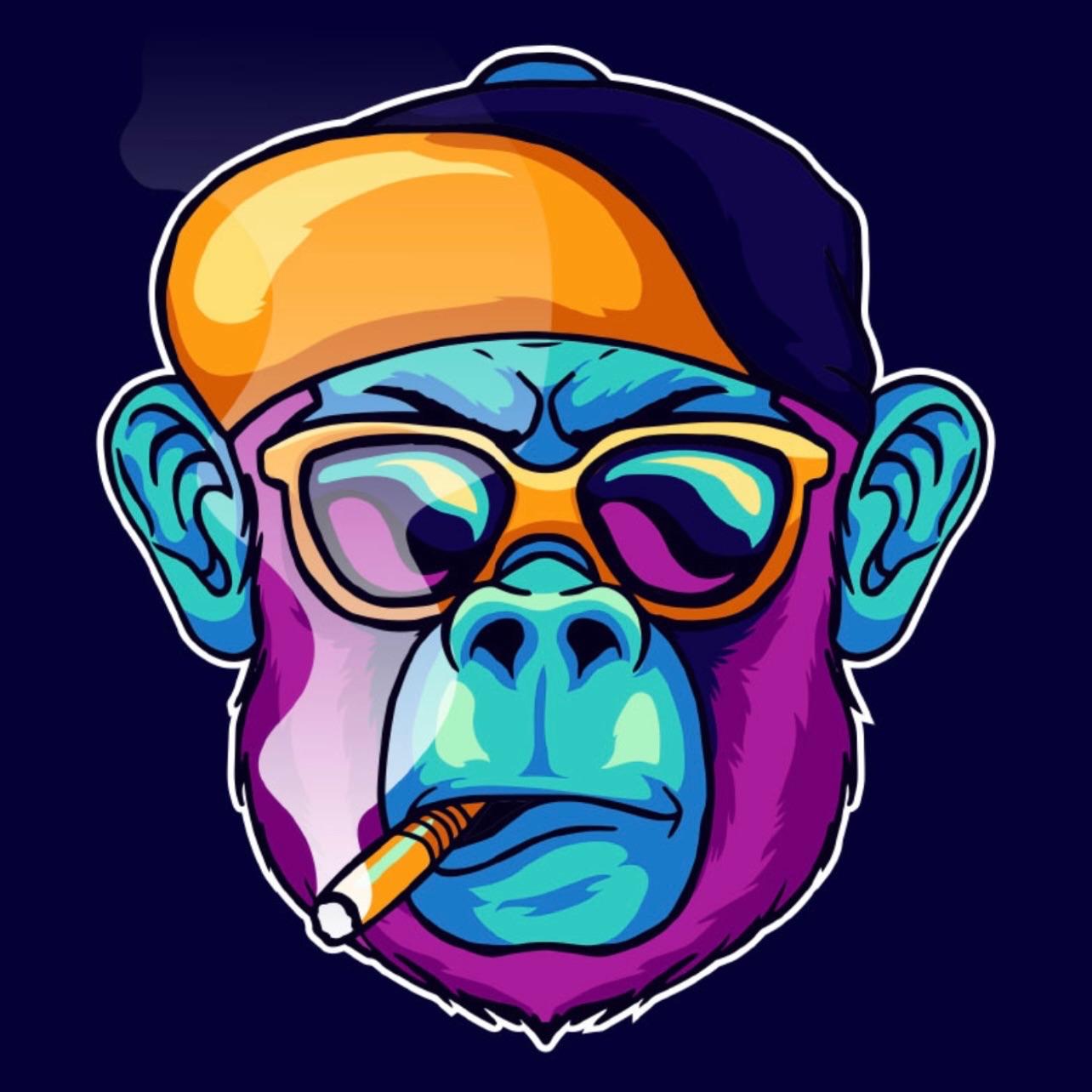 No0b1k avatar