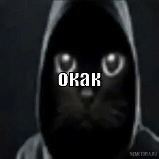 expredFmo