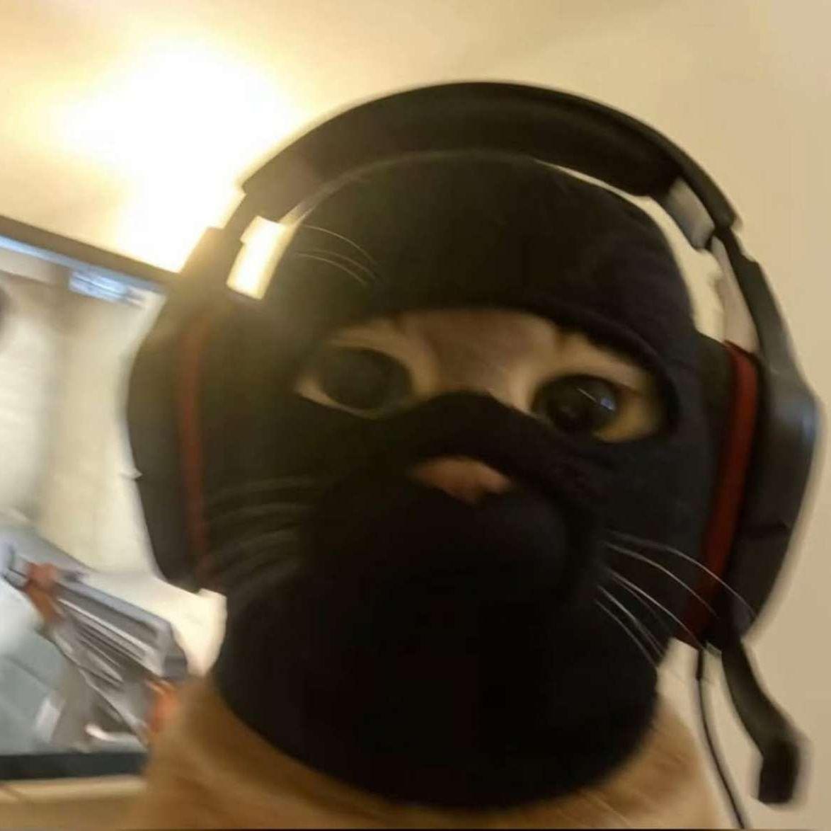 Snaforce avatar