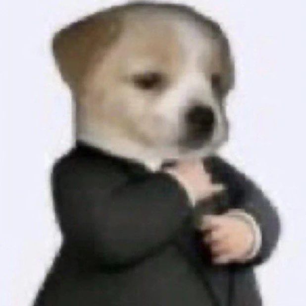 Zweely