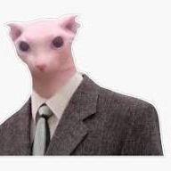 ScoobTheNoob avatar