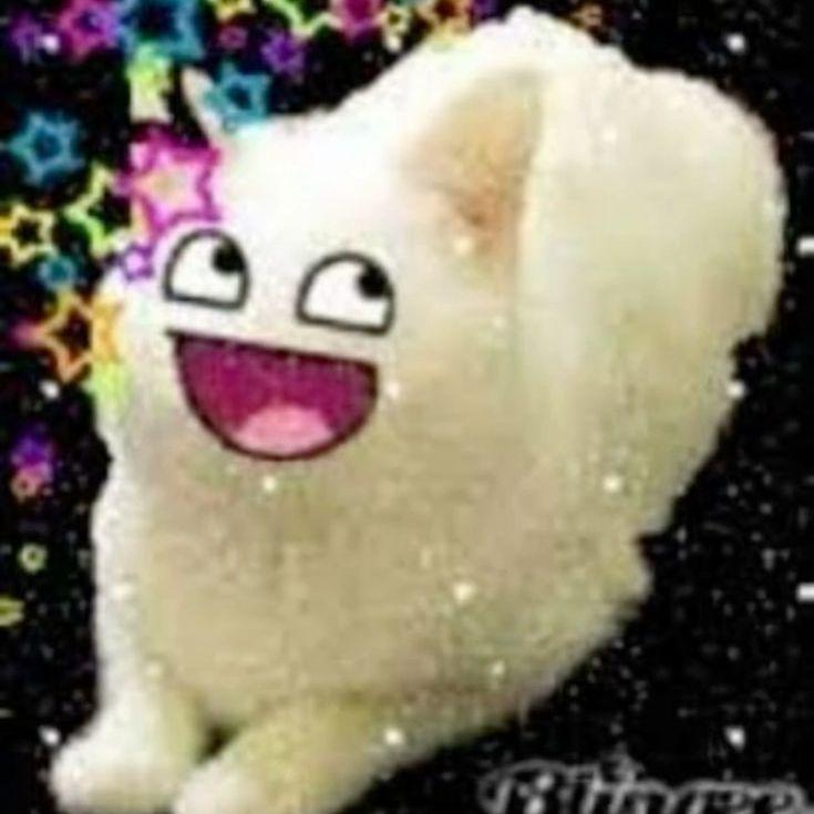 Silly_Zuku avatar