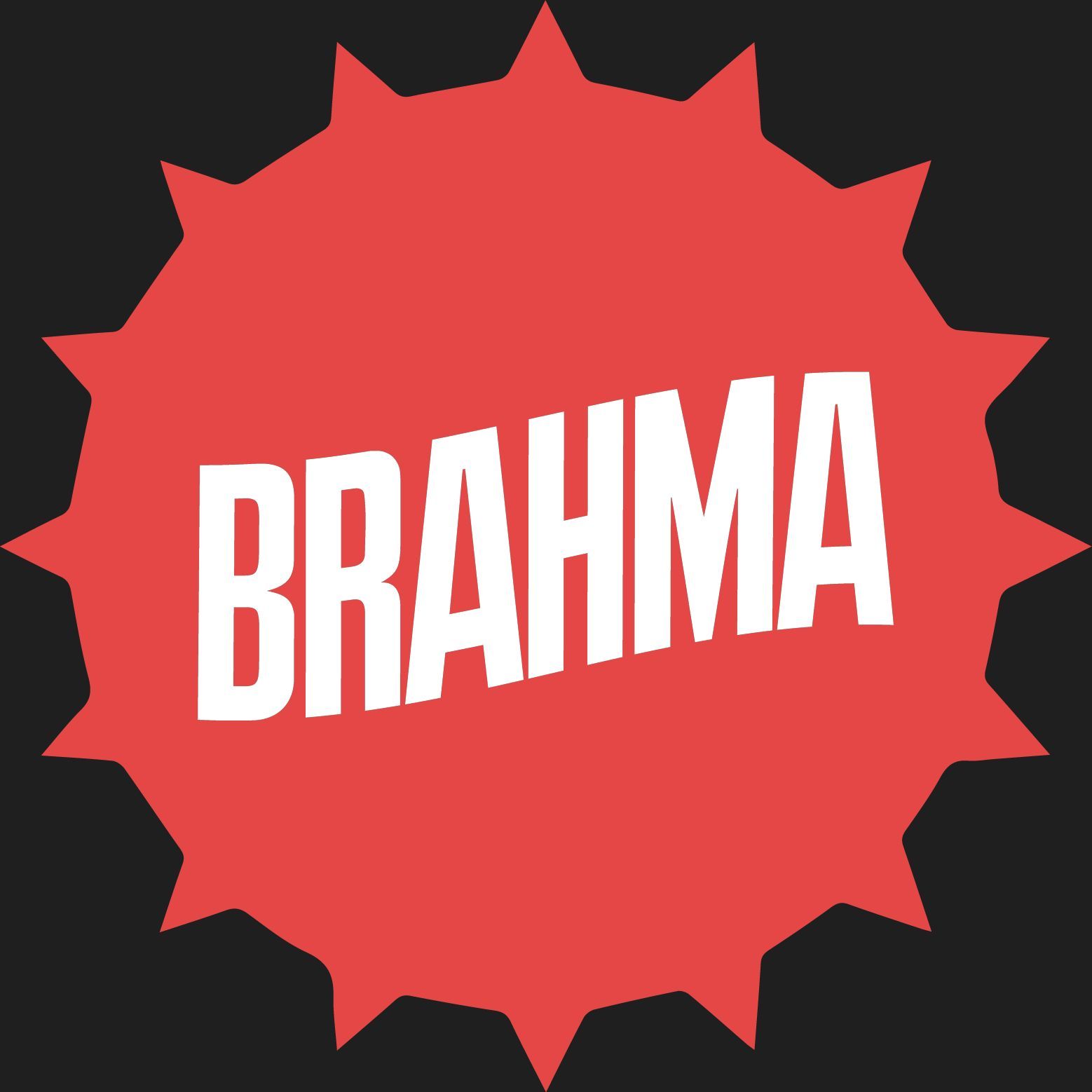 team_BraHmitaGEOF
