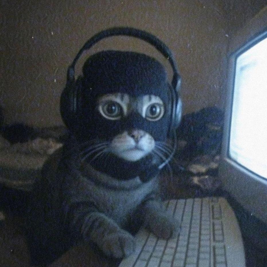 quennny avatar