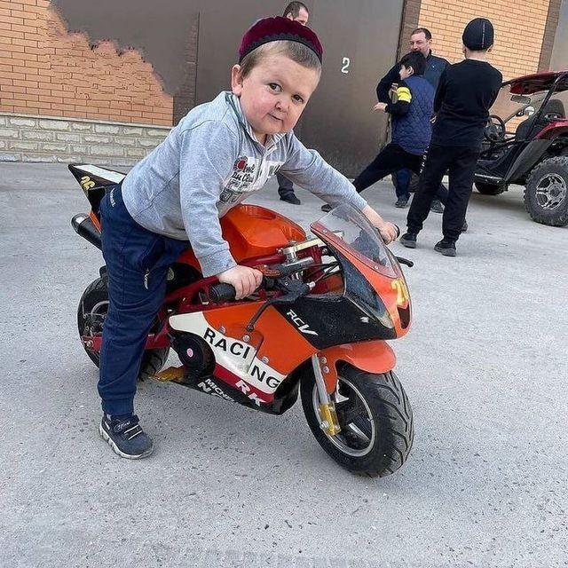 LexOnn4 avatar