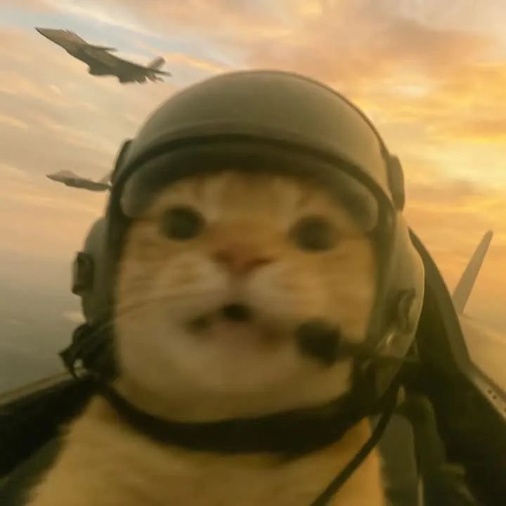 q1sh0