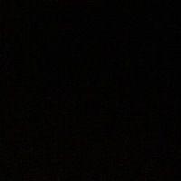 d1wx1337-