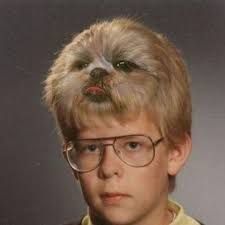 Murmel-_-