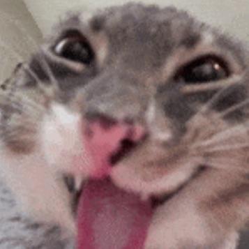 TherafluMode avatar