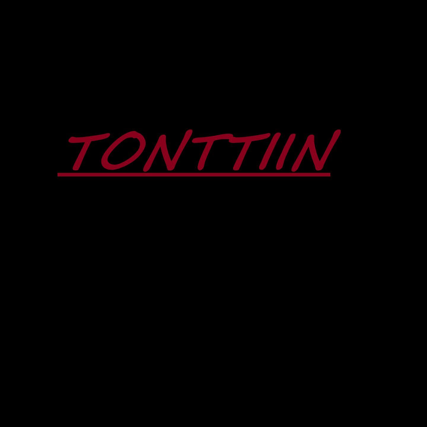 Tonttiin