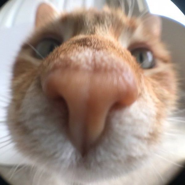 ma1oy666 avatar