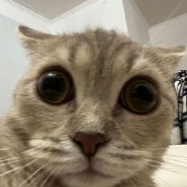 Porteer