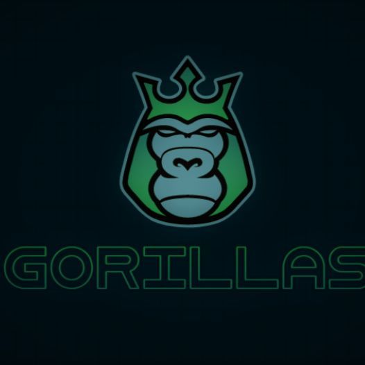 Team-GORiLAsS
