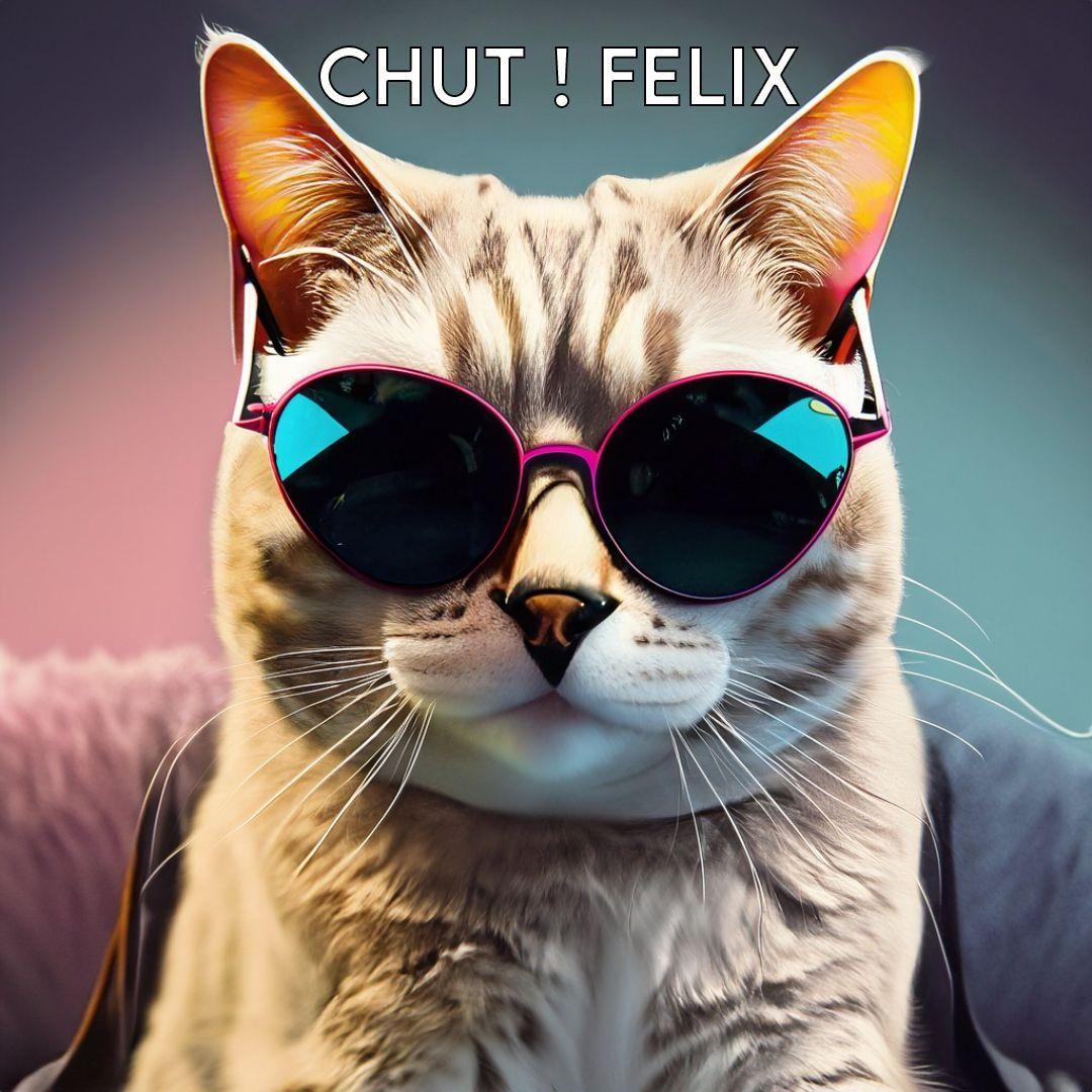 Player Chuuut_Felix avatar