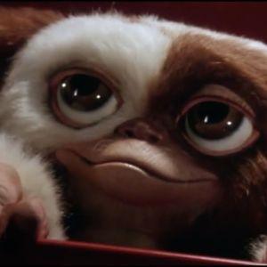 Gizmo2209 avatar