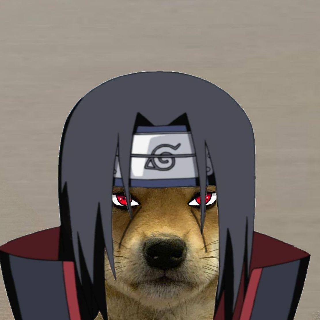 144HzFL avatar