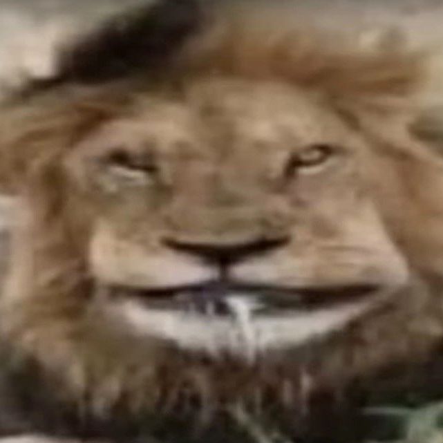 1FunBoy avatar