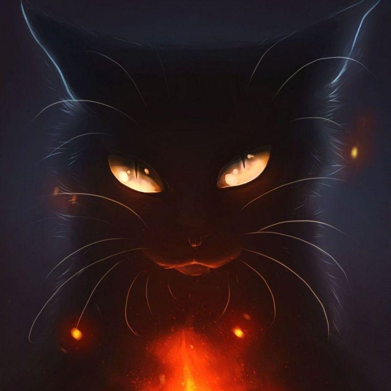 B0ss_Cat_AM avatar