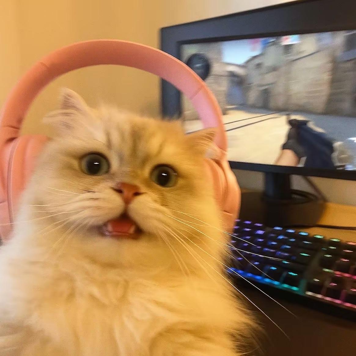 Kuuuudy avatar