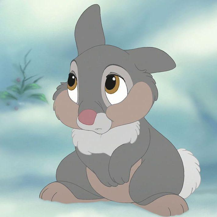 Rabbii avatar
