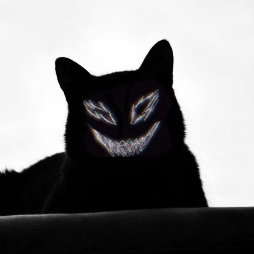 the_morim
