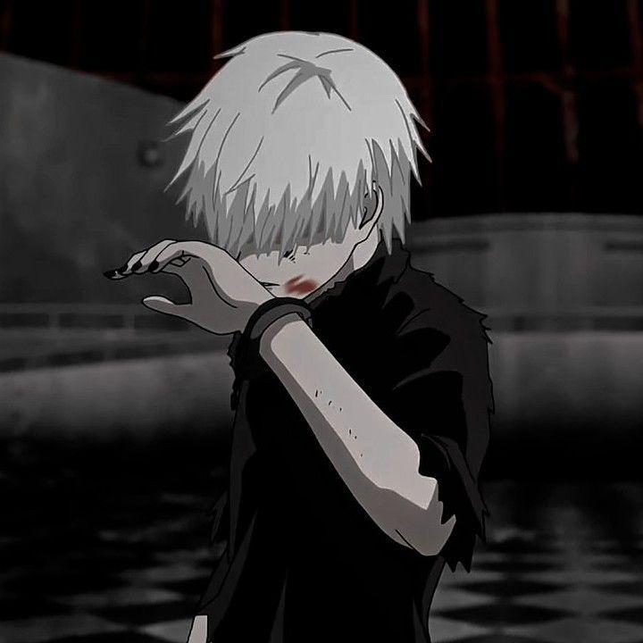 rylsss666 avatar