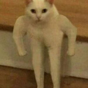 bozoblaster