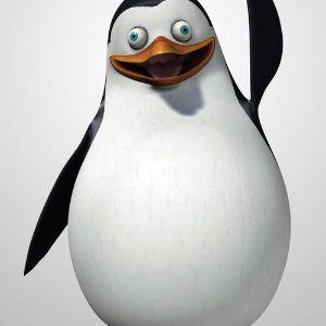 Piets1337 avatar
