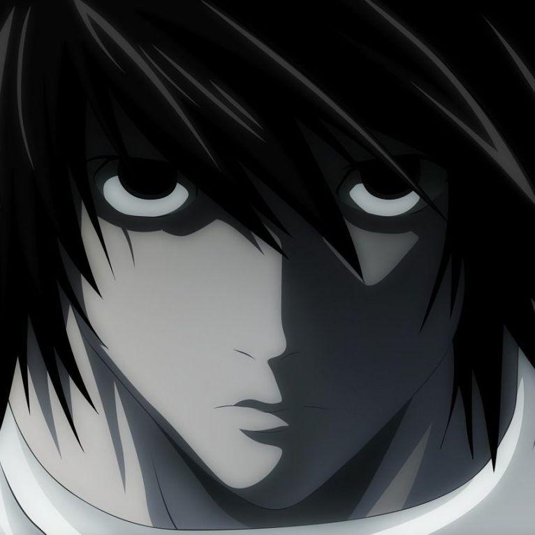 L-13 avatar