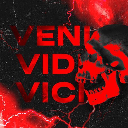 VeViDi Esports