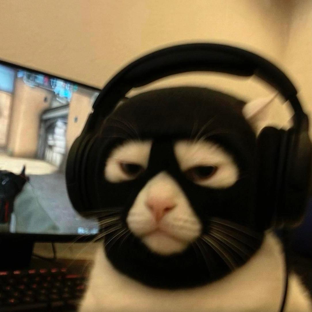 spam347 avatar