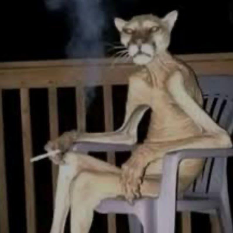 KrzychuJ00R avatar