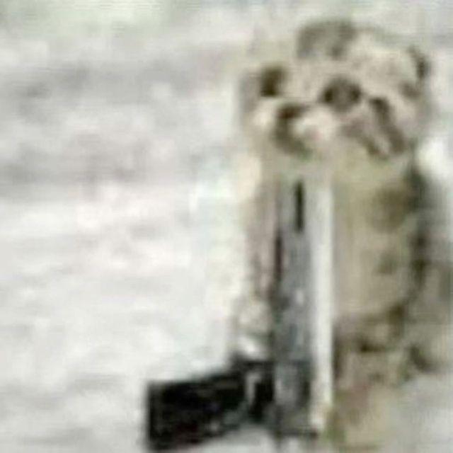 nyJEnPNemHNk avatar
