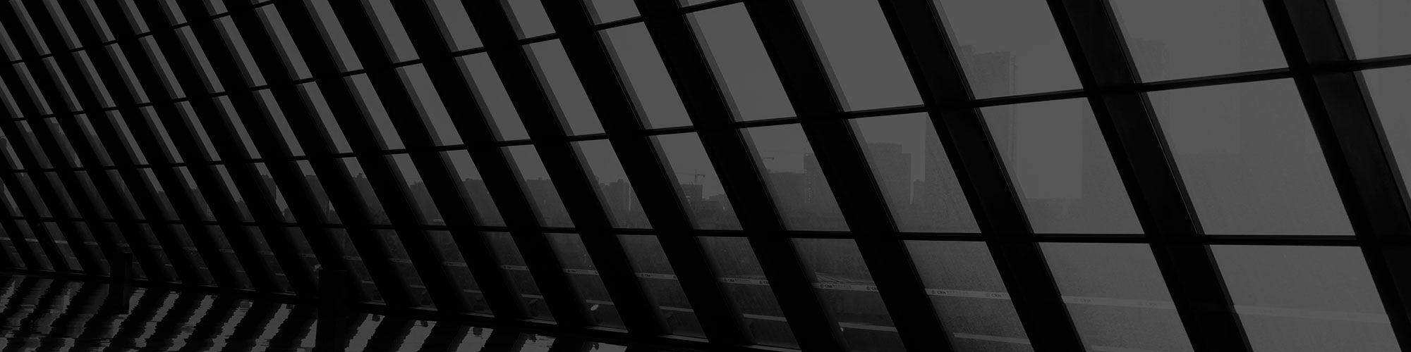 Faceit banner for @skate
