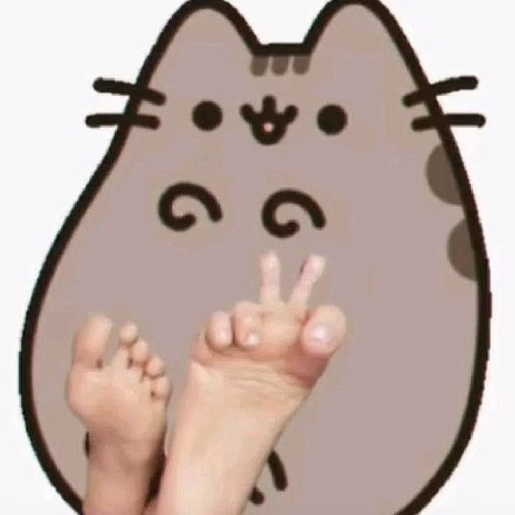 pusheen FACEIT avatar
