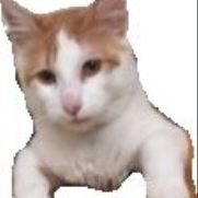 seiaaa_