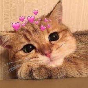 katins avatar