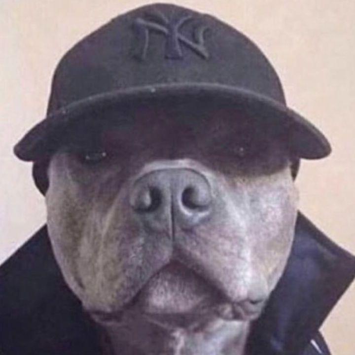 demuo avatar