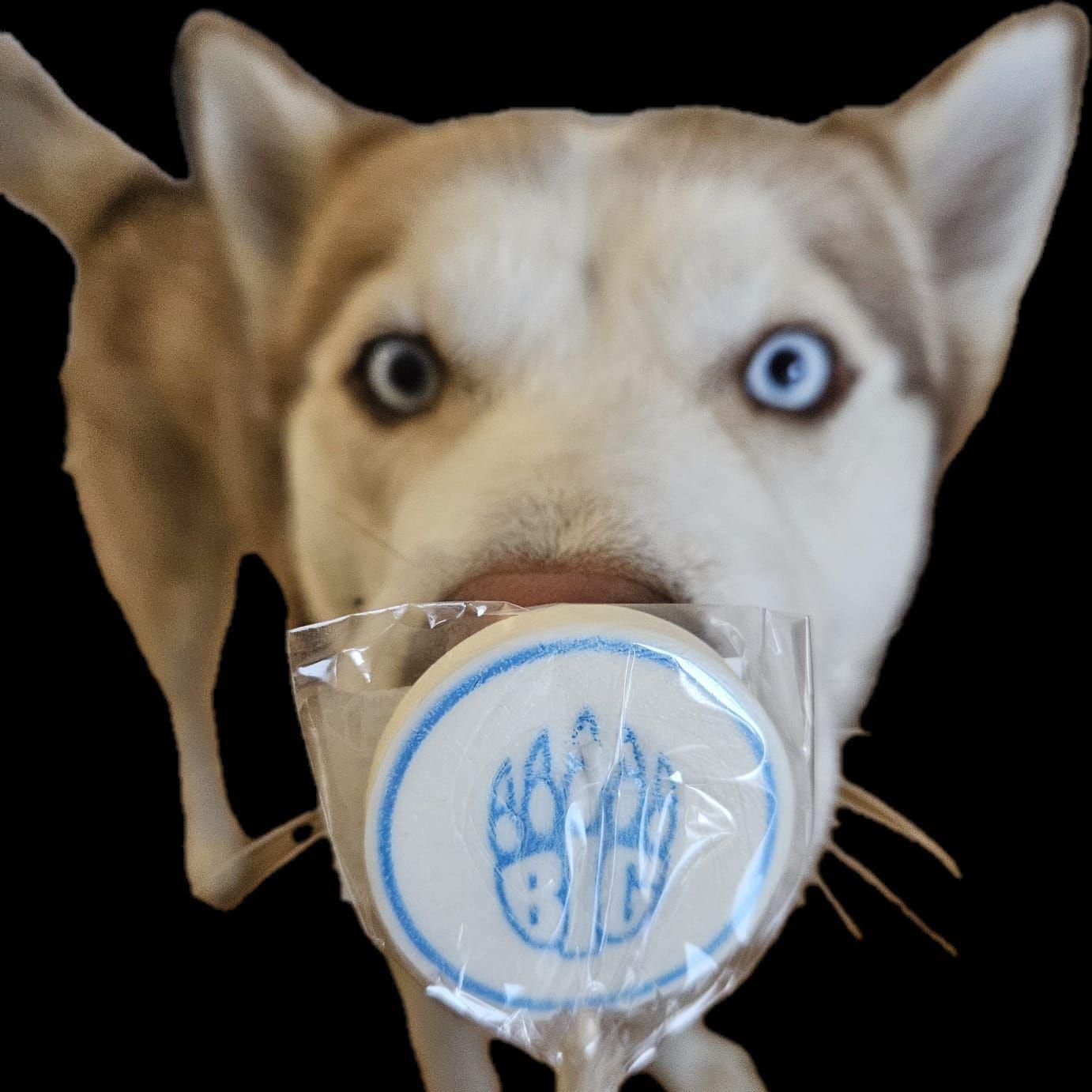 Escadex avatar