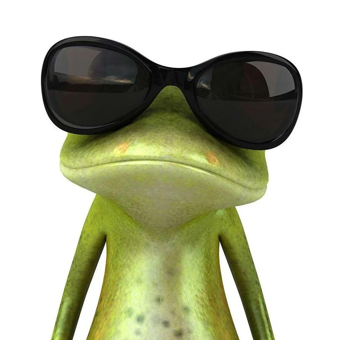 radw1n avatar