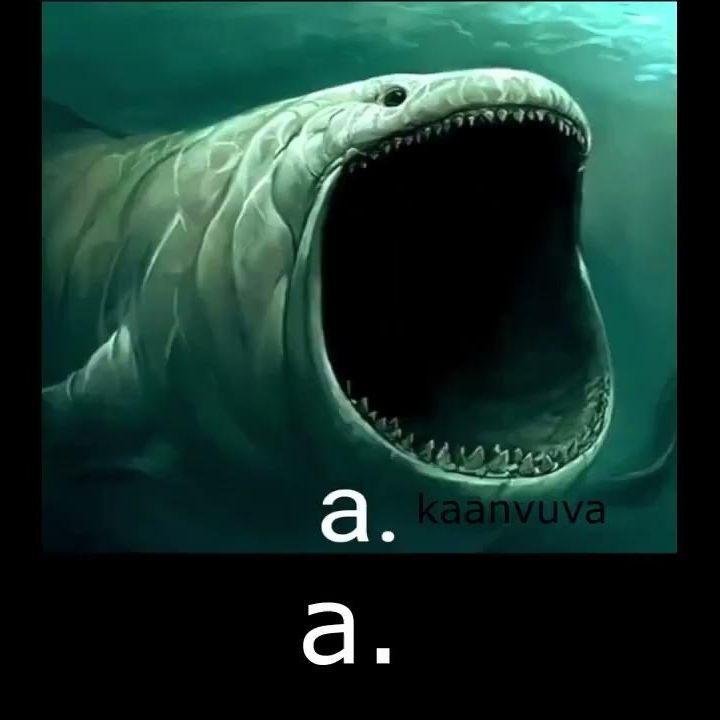 1plzhalp1 avatar