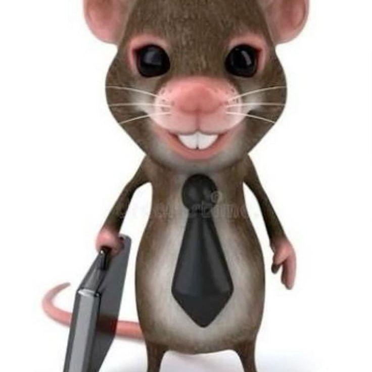 kol0mik avatar