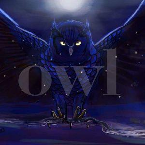 owl1236 avatar