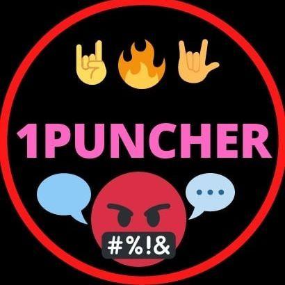 -1PUNCHER avatar