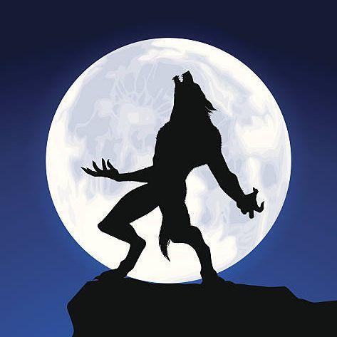 LycaaaN avatar