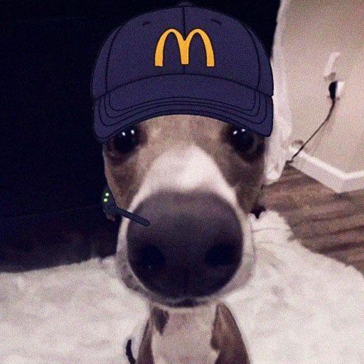 -_-Jarke avatar